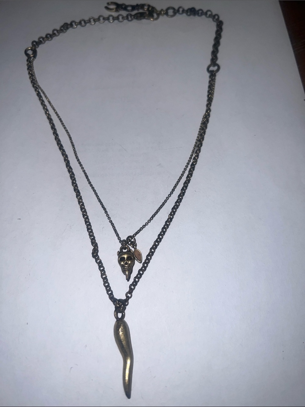 Lucky brand vintage Brass Double-Layer Women’s Necklace with Skull and Horn